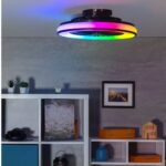 LED Ceiling Light Fan, max 48W 6500k/4200k/3000k/RGB with Remote Control